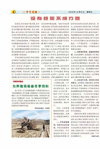 ����򱨹�˾�Ļ�